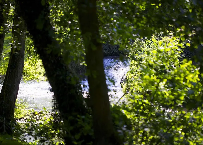 Moulin De Mombreux Lumbres
